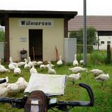 1708G 23 Diemel und Weser